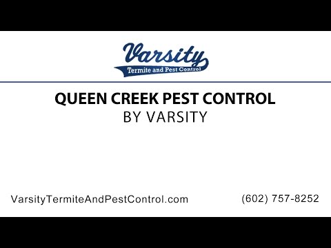 Queen Creek Pest Control | Varsity Termite &amp; Pest Control