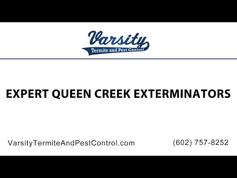 Expert Queen Creek Exterminators at Varsity Termite &amp; Pest Control