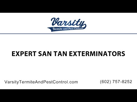 Expert San Tan Exterminators at Varsity Termite &amp; Pest Control