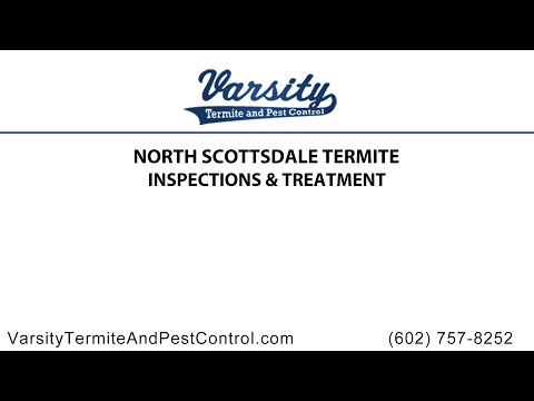 North Scottsdale Termite Inspections and Treatment By Varsity
