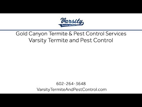 Gold Canyon Termite &amp; Pest Control Services With Varsity