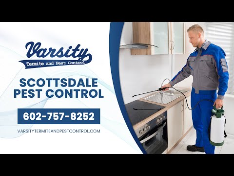 Scottsdale Pest Control | Varsity Termite &amp; Pest Control