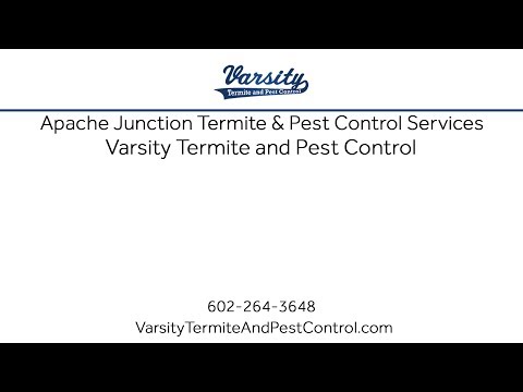 Apache Junction Termite &amp; Pest Control Services With Varsity