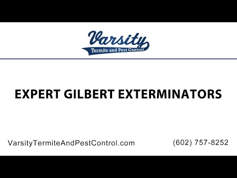 Expert Gilbert Exterminators at Varsity Termite &amp; Pest Control