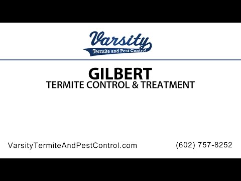 Gilbert Termite Inspections &amp; Treatment By Varsity