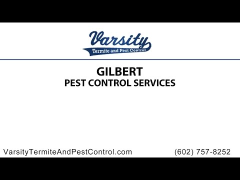 Gilbert Pest Control Services by Varsity