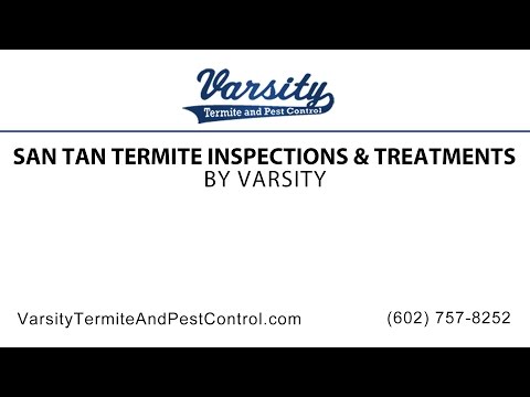 San Tan Termite Inspections &amp; Treatments | Varsity Termite &amp; Pest Control