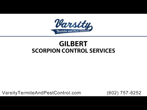 Gilbert Scorpion Control Services by Varsity