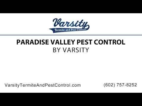 Paradise Valley Pest Control | Varsity Termite &amp; Pest Control