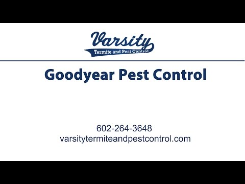 Goodyear Pest Control | Varsity Termite &amp; Pest Control