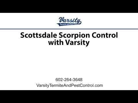 Scottsdale Pest Control With Varsity
