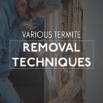 Removal Techniques