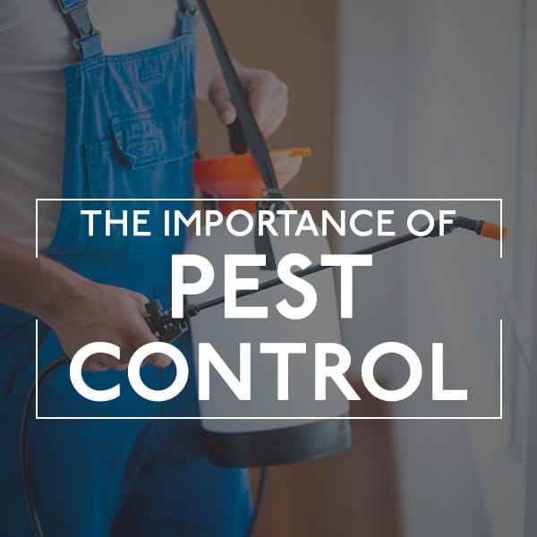 Pest Control Davis County