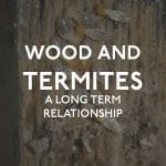 Wood And Termites a Long Term Relationship