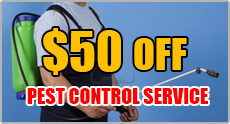 50% off pest control service