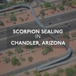 Motorway Scorpion Chandler, AZ