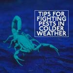 Tips for Fighting Pests