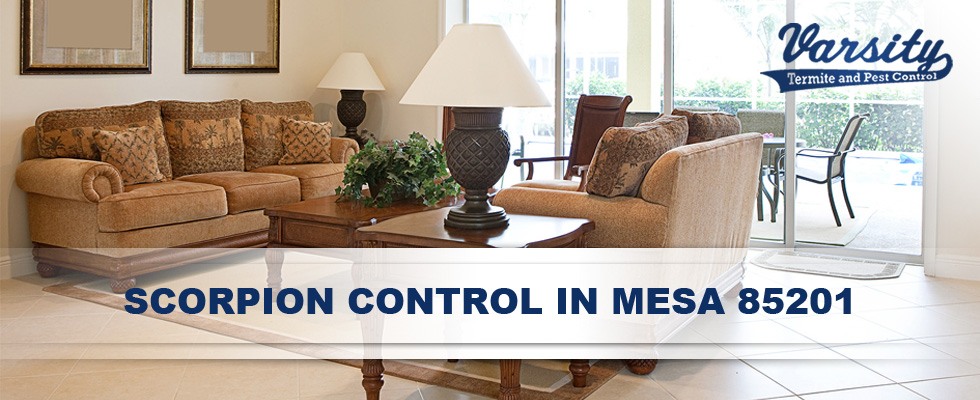 We provide affordable scorpion pest control services in Mesa 85201