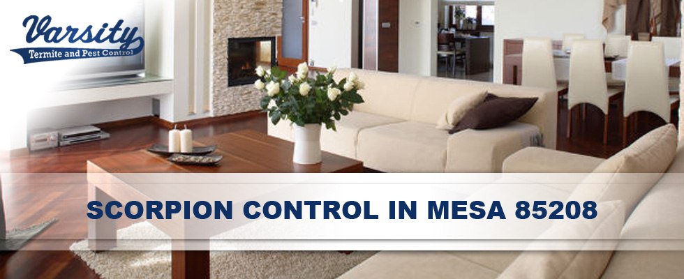 Experienced Scorpion Pest Control Services Throughout Mesa 85208