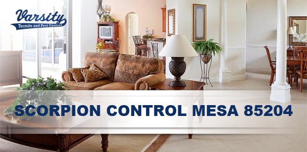 Scorpion Control Home Sealing Services in Mesa AZ 85204 By Varsity Pest