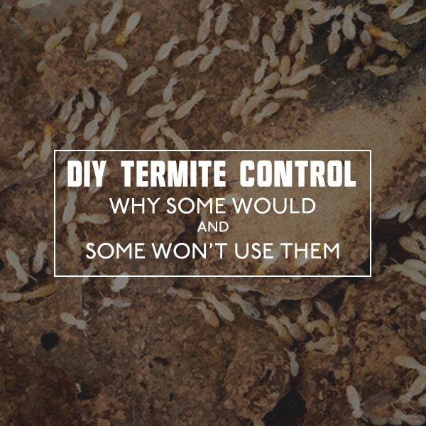 DIY Termite Control: Why Some Would and Some Won't Use Them