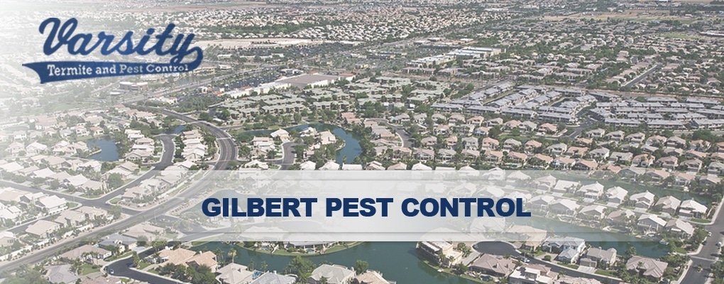 Contact our Gilbert AZ Pest Control Company Today!