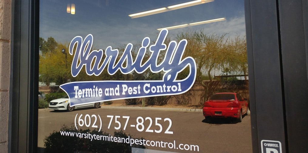 Varsity Is Your Team of Expert North Scottsdale Termite Exterminators!