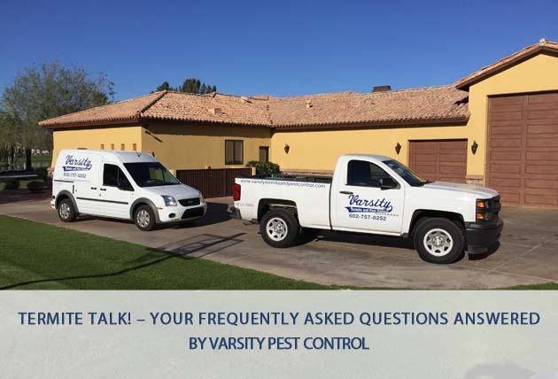 controlling termites in your chandler home