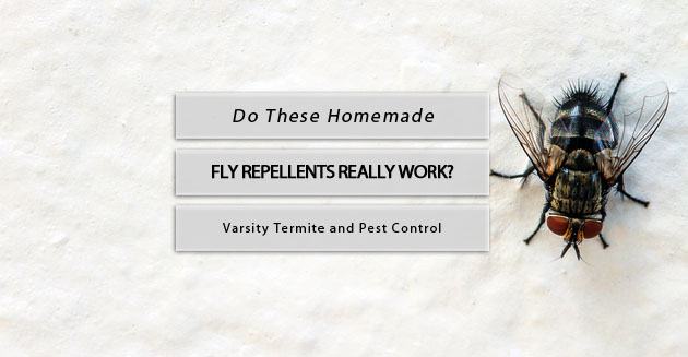 homemade fly repellents varsity