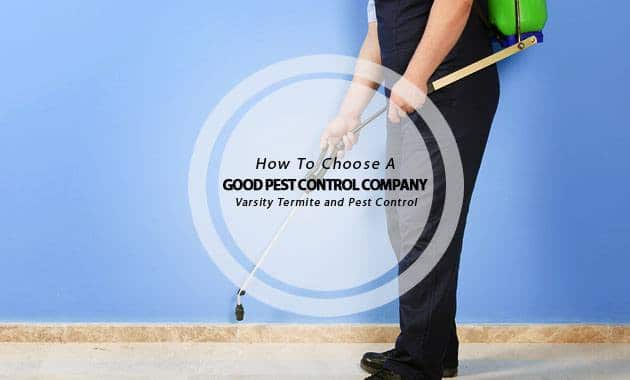 good pest control company