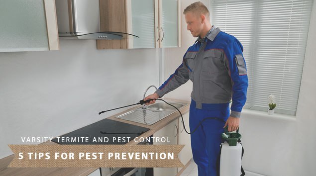 tips pest prevention