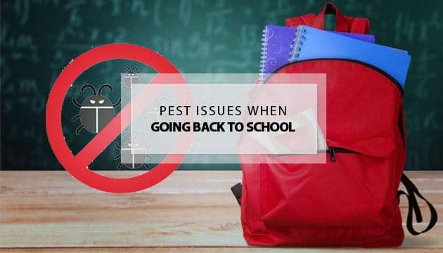 pest issues when going back to school