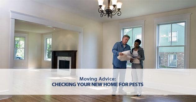 moving advice checking your new home for pests