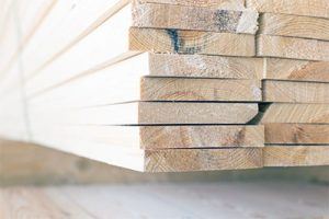 termite prevention tip use treated lumber