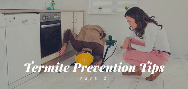termite prevention tips part 2