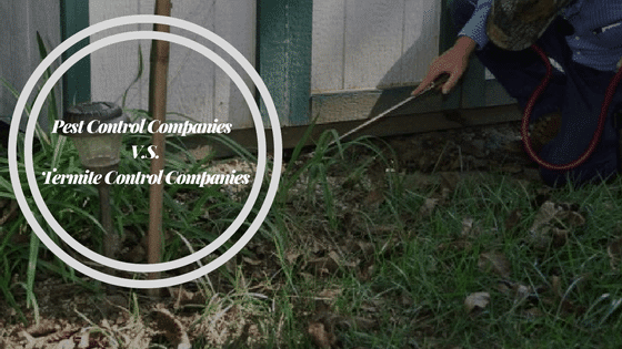 The difference between pest control companies and termite control companies