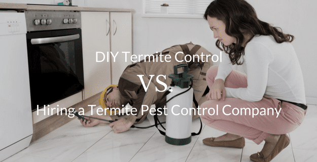 DIY termite control vs. hiring a termite pest control company
