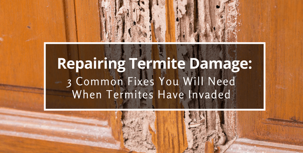 3 Common Fixes You Will Need When, How To Get Rid Of Termites In Hardwood Floor