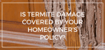 Is termite damage covered by your homeowner’s policy