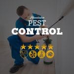 Pest Control Company in Ahwatukee