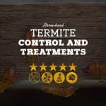 Termite Control and Treatment in Arrowhead