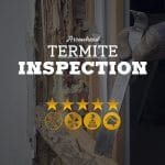 Termite Inspections in Arrowhead