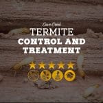 Termite Control and Treatment Company