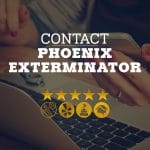 Contact Phoenix Exterminator Company