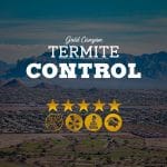 Termite Control in Gold Canyon