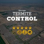 Termite Control in Maricopa