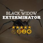 Black Widow Mesa Exterminator