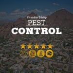 Pest Control in Paradise Valley