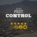 Pest Control in San Tan