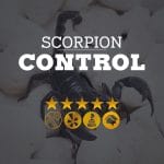 Scorpion Control
